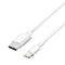 APPLE USB-C TO LIGHTING CABLE